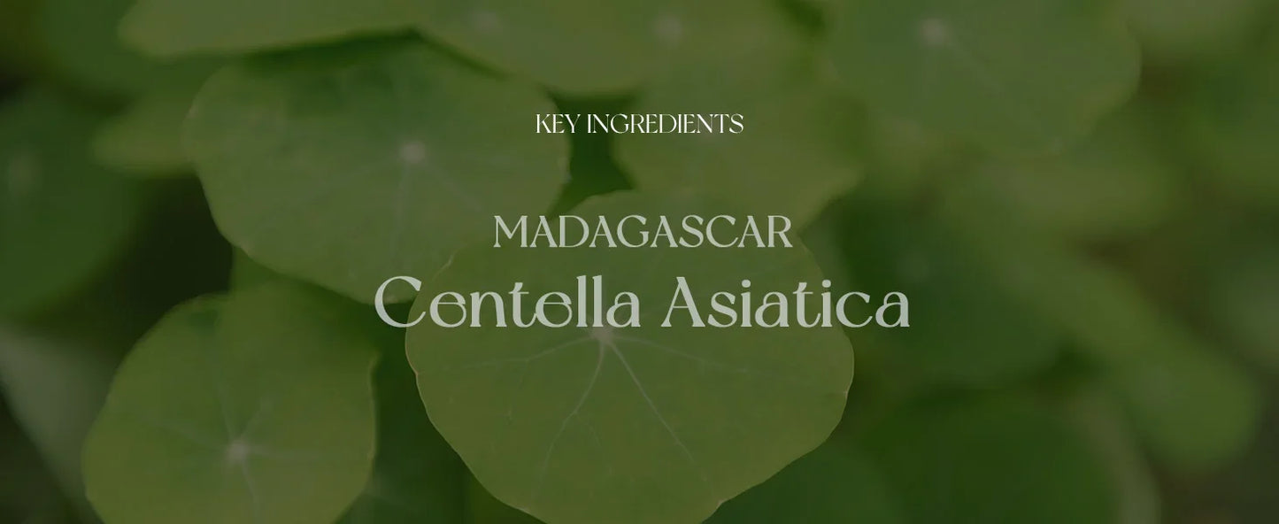 SKIN1004 Madagascar Centella Asiatica Ampoule Facial Serum 3.38 fl.oz(100ml)